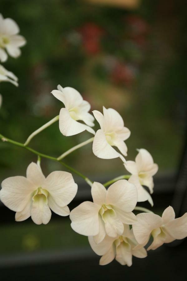 Echovilla B&B Hualien Buitenkant foto